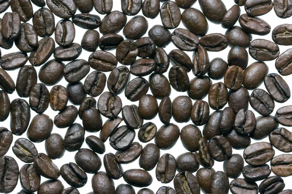 Grains de café isolés sur un fond blanc — Photo