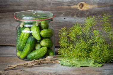 Rustik masa üzerinde Marine salatalık turşusu kavanoz 