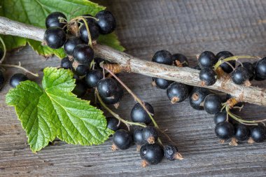 Ahşap masa üzerinde taze blackcurrant