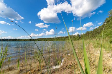 Yaz aylarında göl manzara. Mavi gökyüzü