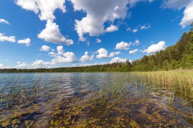 Yaz aylarında göl manzara. Mavi gökyüzü