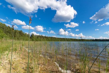 Yaz aylarında göl manzara. Mavi gökyüzü