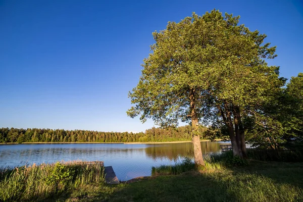 Paisagem com lago no verão. Céu azul — Fotografia de Stock