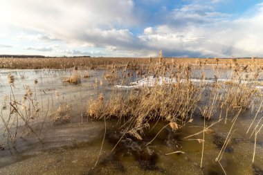 Kış manzara mavi gökyüzü ile Nehri.