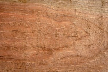 Arkaplan olarak kullanmak için doğal ahşap.