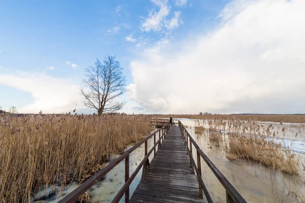 Зимовий пейзаж над річкою з блакитним небом — стокове фото