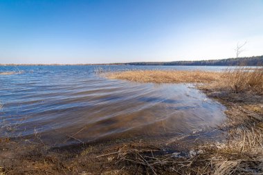 Yaz aylarında göl manzara. Mavi gökyüzü