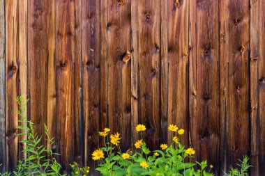 Doğal desenli eski ahşap doku.