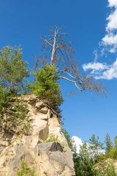 Старый карьер из песчаника, покрытый деревьями — стоковое фото