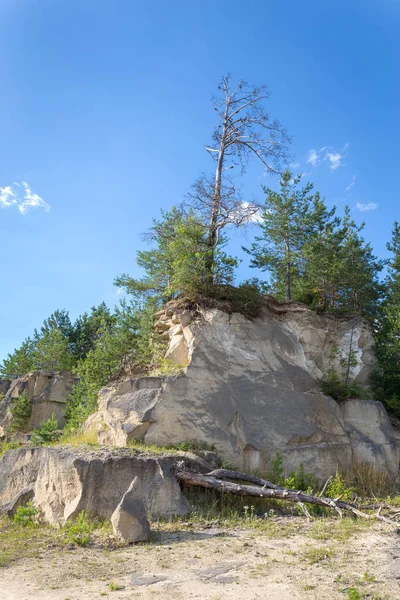 Старый карьер из песчаника, покрытый деревьями — стоковое фото
