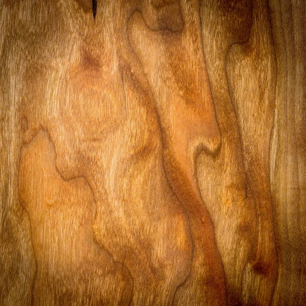 배경으로 사용 할 천연목재. — 스톡 사진