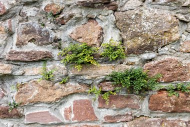 Taş duvar bir arka plan olarak kullanmak için