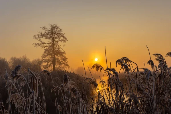 Een prachtige zonsopgang over de mistige rivier. — Stockfoto