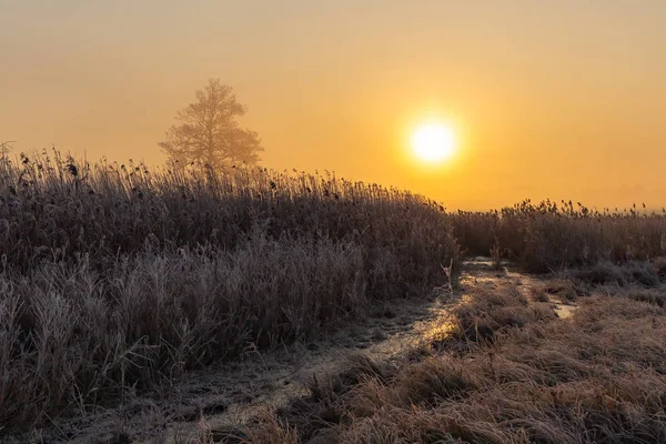 Beau lever de soleil à la campagne — Photo