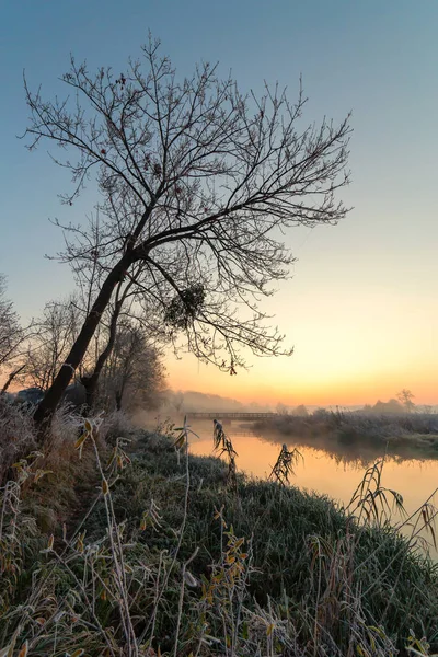 Een prachtige zonsopgang over de mistige rivier. — Stockfoto