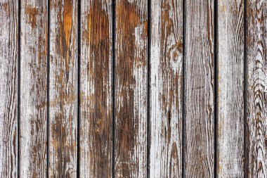 Beyaz ahşap dokulu doğal desenler arka plan ve