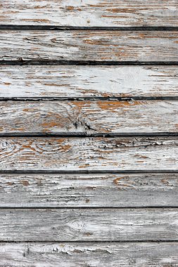 Beyaz ahşap dokulu doğal desenler arka plan ve