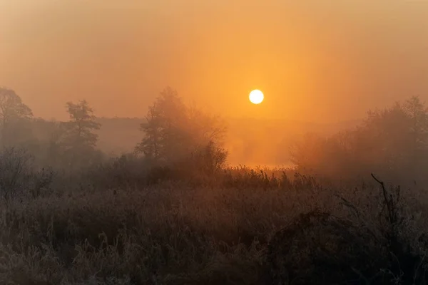 Ein schöner Sonnenaufgang über der nebligen Wiese. — Stockfoto