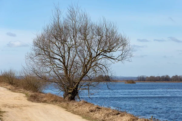 Uma Paisagem Rural Com Uma Única Árvore Uma Estrada Rodeada — Fotografia de Stock