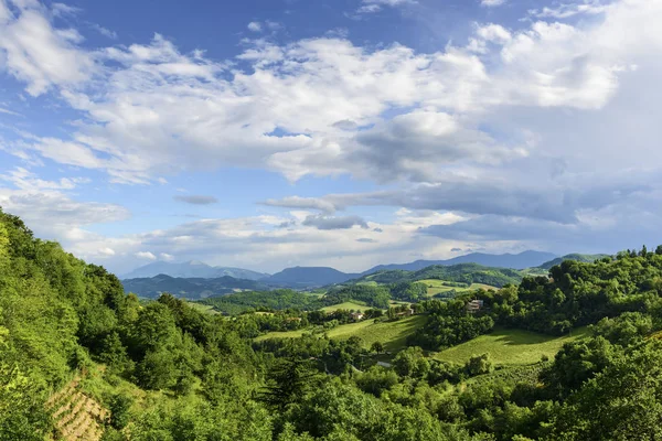 Landscae nära Urbino — Stockfoto