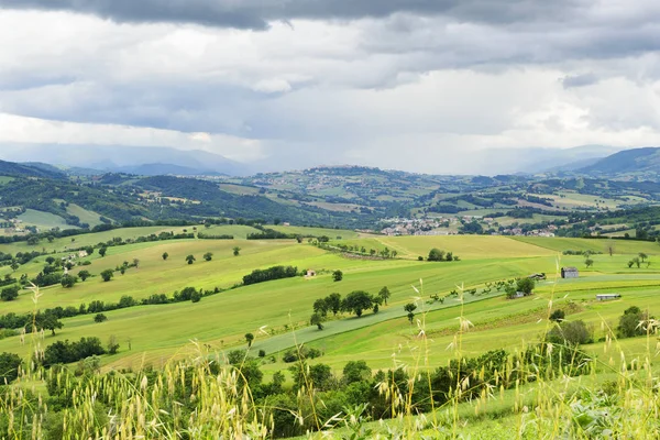 Typical landscape Marche — Stock Photo, Image