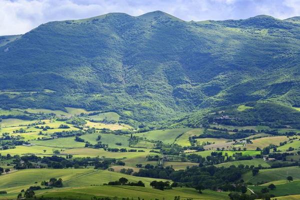 Typiska landskapet Marche — Stockfoto