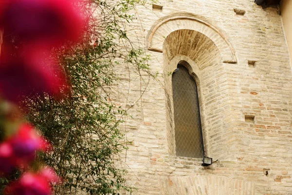 Blomma med kyrkan i bakgrunden — Stockfoto