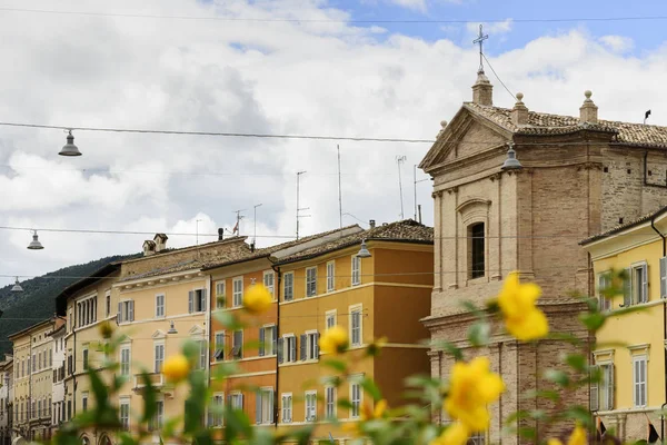 Fiore con case sullo sfondo — Foto Stock