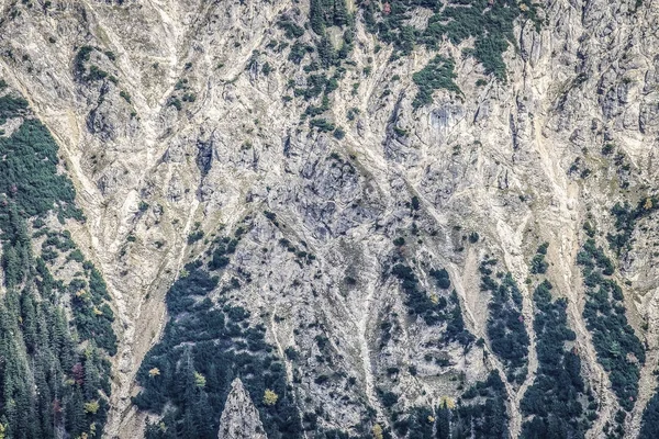 Pemandangan Gambar Tannheimer Tal Austria Eropa — Stok Foto