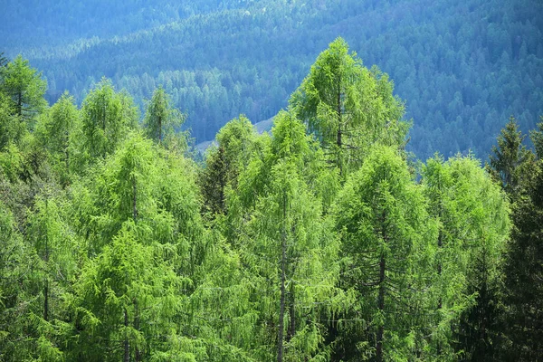 意大利南蒂罗尔山区景观 — 图库照片