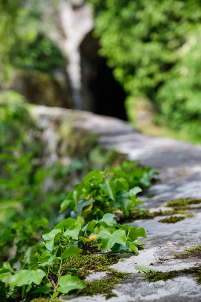 Monastero Saeben Alto Adige — Foto Stock