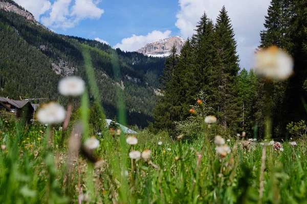Peyzaj Güney Tirol — Stok fotoğraf