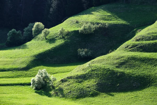 Landskap Sydtyrolen — Stockfoto