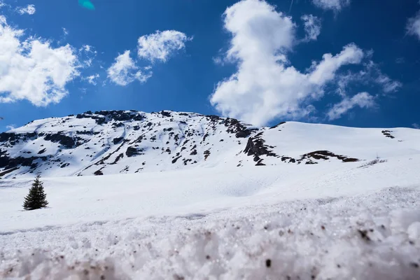 Berge in Südtirol Italien — Stockfoto