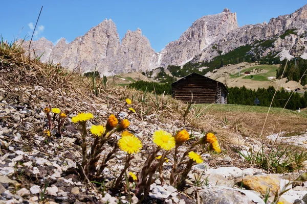 Paisagem montanhosa Tirol do Sul no verão — Fotografia de Stock