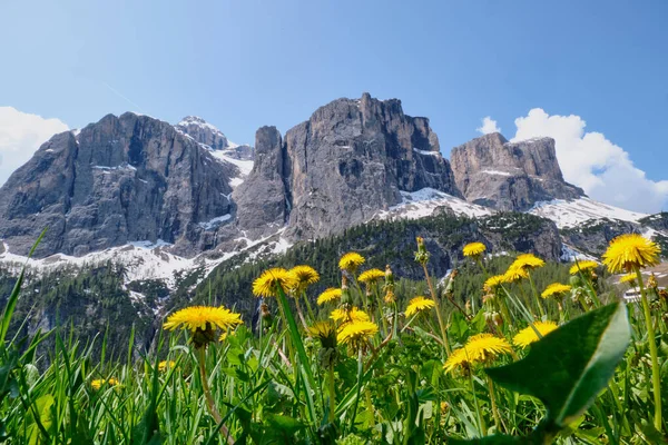 Berglandschap Zuid-Tirol in de zomer — Stockfoto