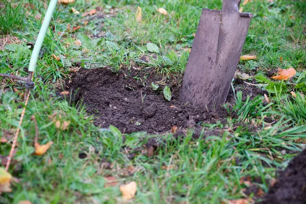 Close-up shovel digs hole in meadow — Stock Photo, Image