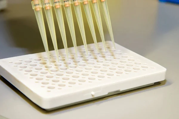 Utrustning Ett Vetenskapligt Biokemiskt Arbete — Stockfoto