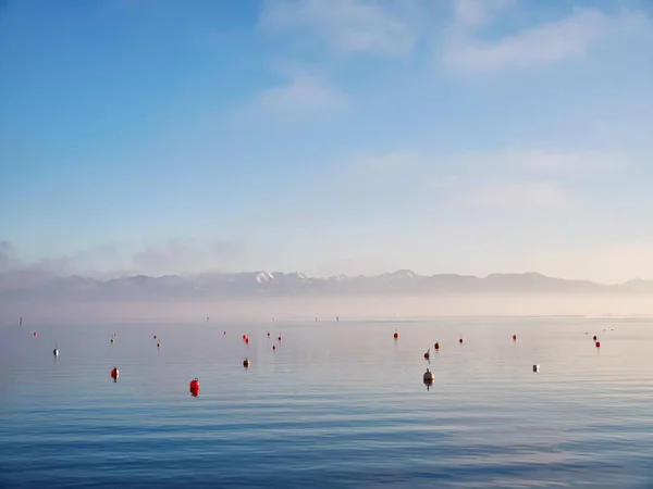 Strand Bodensee Bei Wasserburg Mit Blick Auf Die Alpen Und — Stockfoto