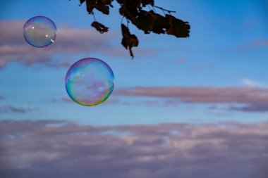 Gökyüzünde renkli kabarcıklar patlıyor. Metin için alanı kopyala