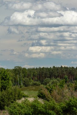 Koyu bulutlu gökyüzü ve güzel yeşil bir manzara.