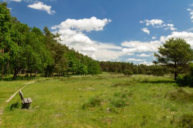 Güzel bir manzarada eski ahşap bir bank