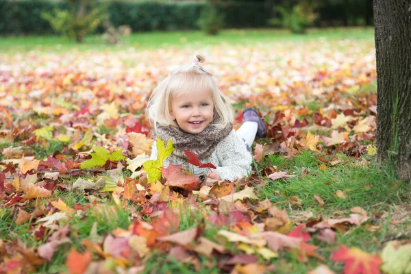 Fetiță care se bucură de toamnă în parc — Fotografie, imagine de stoc