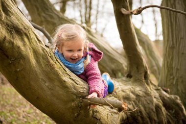 bir ağaca tırmanmak