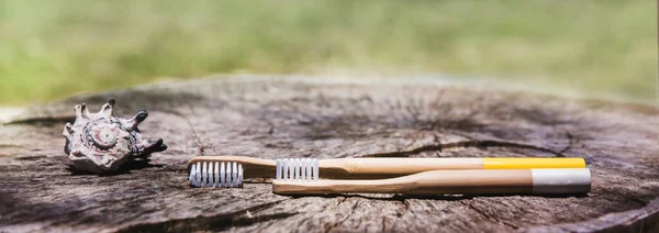 Two white and yellow eco friendly bamboo wooden toothbrushes on wooden background with shell. Plastic free sustainable lifestyle symbol
