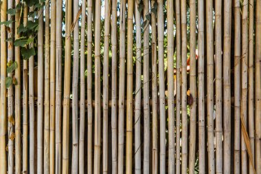 Tropikal bir ülkede arka planda yeşillikler olan bambu çitler.