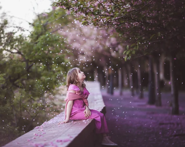 Beautiful girl 10 y.o. in pink dress sit in cherry blossom park on a spring day, flower petals falling from the tree — Stockfoto