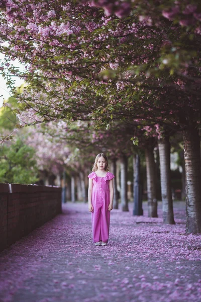 Beautiful girl in pink dress in cherry blossom park on a spring day, flower petals falling from the tree — Stockfoto