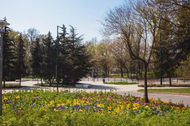 Baharda Budapeşte 'deki Margit Adası' nda çiçekli ve patikalı Yeşil Park