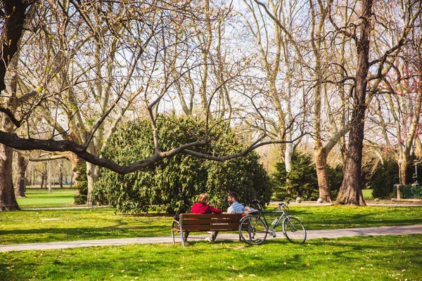 BUDAPEST, HUNGRIA - 04 de abril de 2019: Casal está sentado em um banco de madeira sob uma árvore em belo dia ensolarado de primavera na ilha de Margeret, em Budapeste — Fotografia de Stock